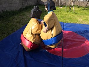 Bataille de sumo en cours