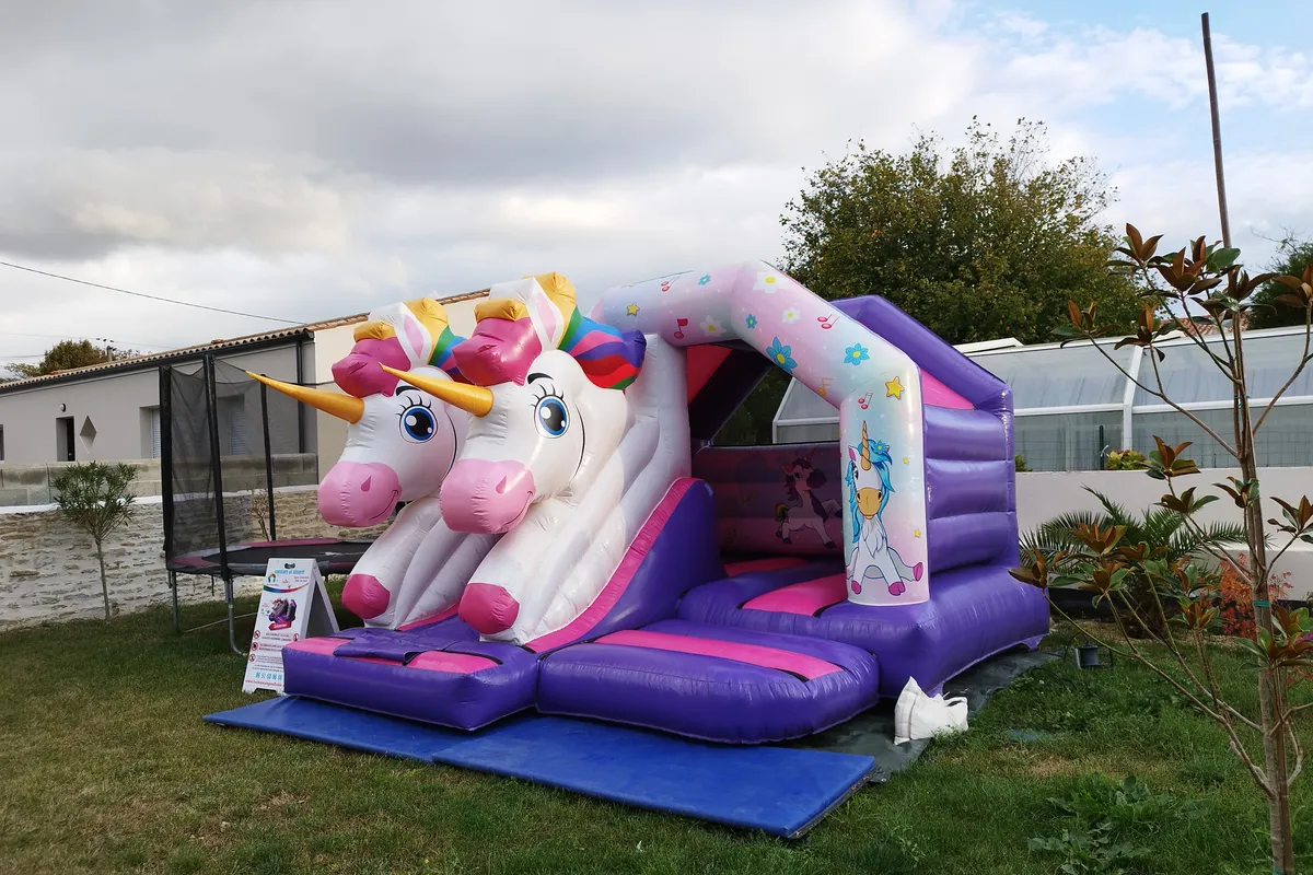 Licorne — photo 4