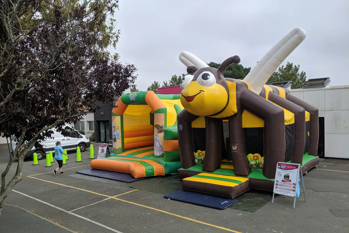 Mayabeille — photo 2