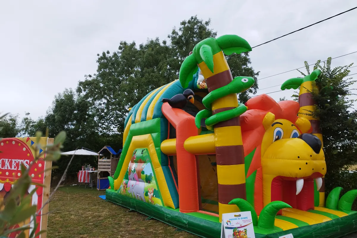 Roi Lion — photo 4