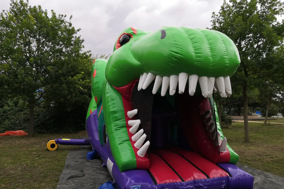 T-Rex — photo 4