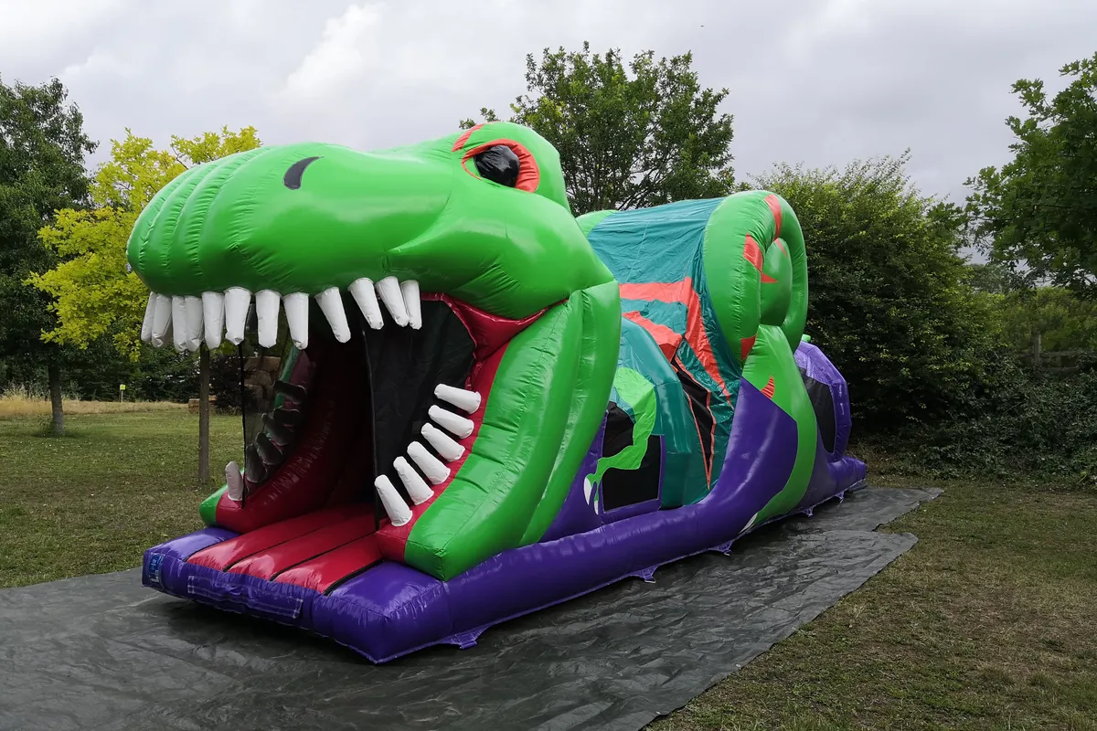 T-Rex — photo 5